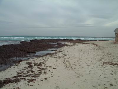 DSCF0079.JPG